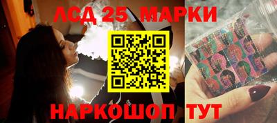 шишки Гатчина
