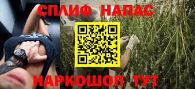 шишки Гатчина