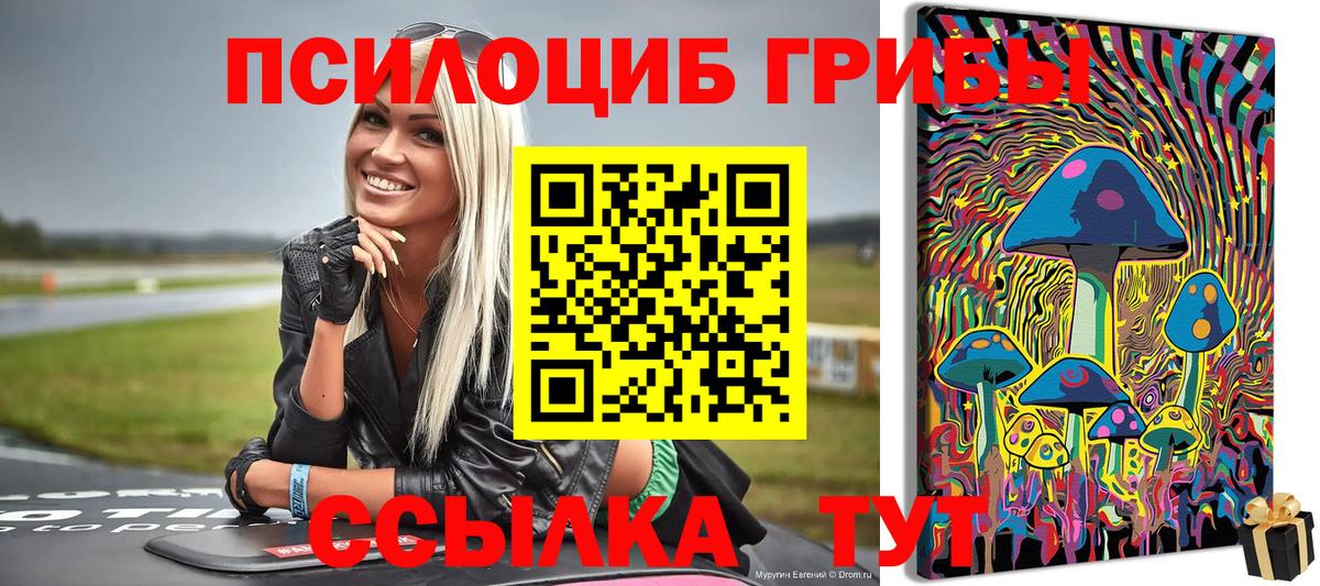 Галлюциногенные грибы мицелий Елизово